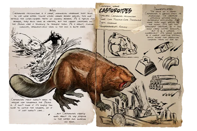 Castoroides dossier