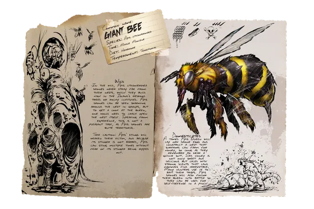 Bee Queen dossier