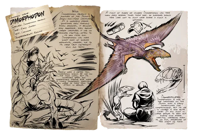 Dimorphodon dossier