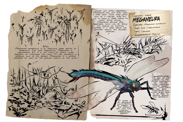 Dragonfly dossier