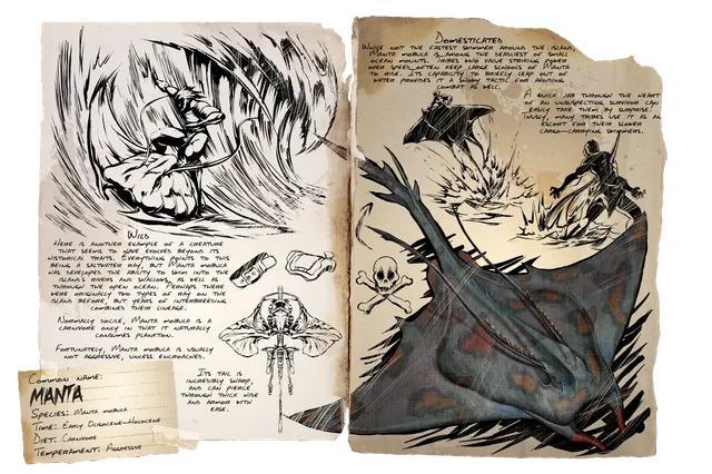 Manta dossier