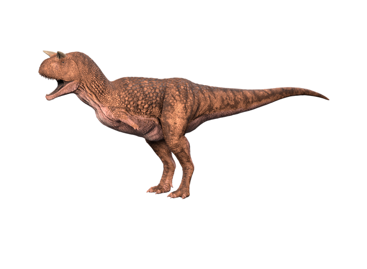 Carnotaurus render