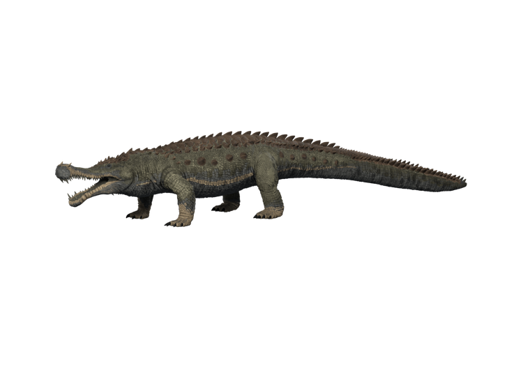 Sarco render