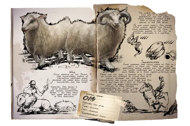 Sheep dossier