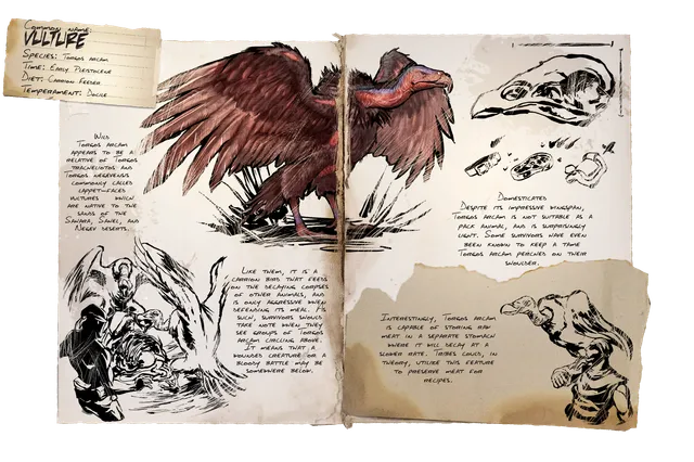 Vulture dossier
