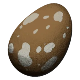 Compy Egg