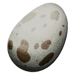 Dodo Egg