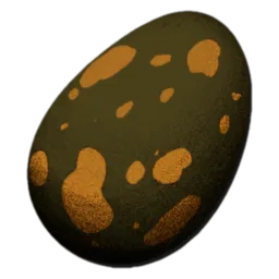 Fertilized Turtle Egg