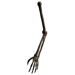 Skeleton Arm01