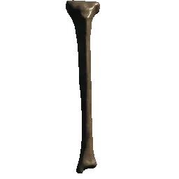 Skeleton Bone02