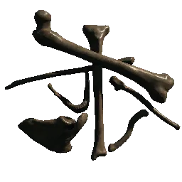 Skeleton Bones01