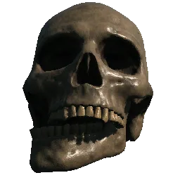 Skeleton Skull01