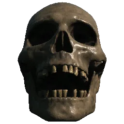 Skeleton Skull03