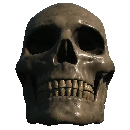 Skeleton Skull04