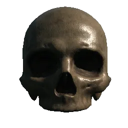 Skeleton Skull06